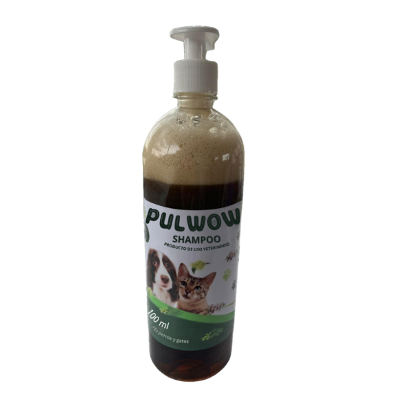 18 Shampoo Pulwow